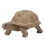 Tiermodelle Elefant/Schildkröte, Lernspielzeug 1