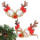 (Type E) Kerst decoratieve bril fotorekwisieten 5