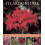Pelargoniums by Blaise Cooke Paperback Book 1