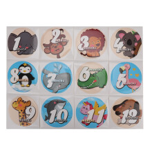 Nieuwgeboren Baby Ronde Stickers Memory Record Foto Prop