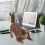 Kind Bulldog Speelgoed Decoratie 4