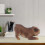 Kind Bulldog Speelgoed Decoratie 3