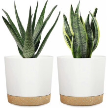 2024 2pcs Plastic Flower Pots with Saucers