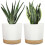 2024 2pcs Plastic Flower Pots with Saucers 1