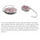 Convenient Folding Bag Holder Portable for Coffee Shops-White 6