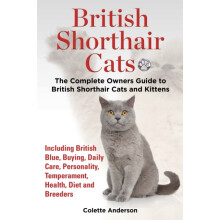 British Shorthair Cats The Complete Owners Guide to British Shorthair