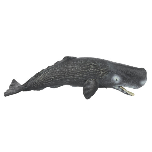 Mini Sperm Whale Model Edu Decor 2