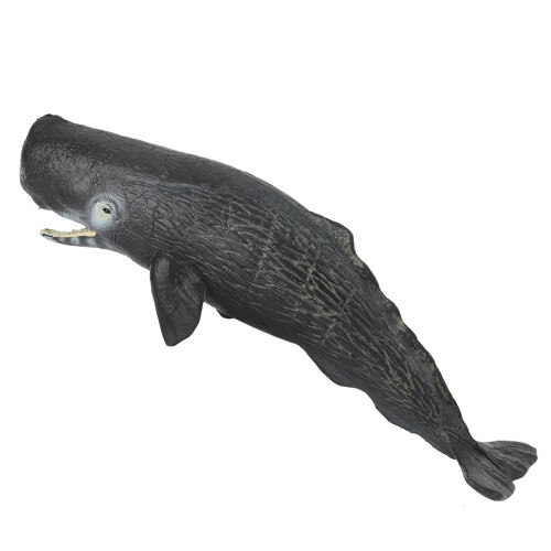Mini Sperm Whale Model Edu Decor 1