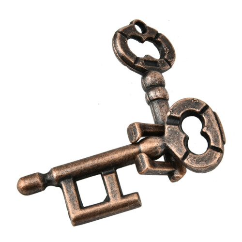 IQ Puzzle Lock Buckle Educational Toy mit Schlüsseln