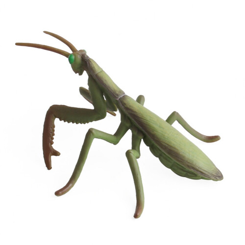 Kids Simulation Insects Plastic Figurine Toy for Education (#6)