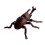 Kinderen Insecten Figuur Educatief #2 1