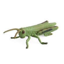 Kinderen Insecten Figuur Educatief #8