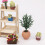 1:12 Mini Dollhouse Bonsai Garden Decor Accessory 4