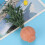 1:12 Mini Dollhouse Bonsai Garden Decor Accessory 5