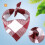 Scottish Cotton Flannel Baby Bib Triangle 5