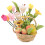 Mini Bloemen- en Fruitmand Decoratie 1:12 1
