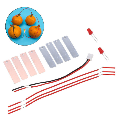 Children DIY Fruit Battery Electricity Experiment 2