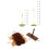 Kids Broom Dustpan Mop Set 4