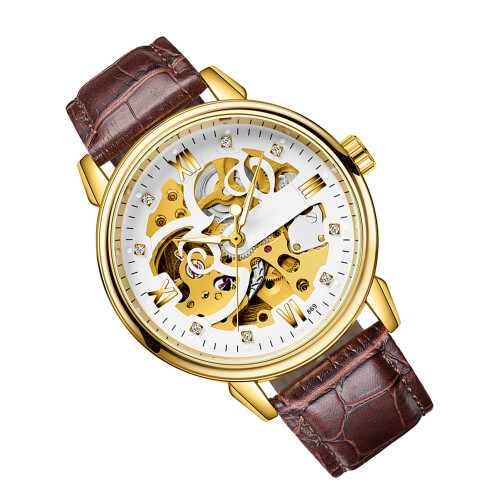 Men Watch Automatic Skeleton Diamond Leather Band Luminous 3ATM 2