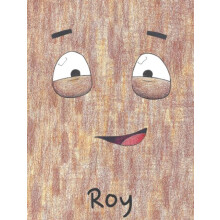 Roy by Noah Kapustka Hardcover Book