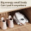 Shoe Dryer Intelligent Timer Adjustable Quick Drying Deodorizing House 8