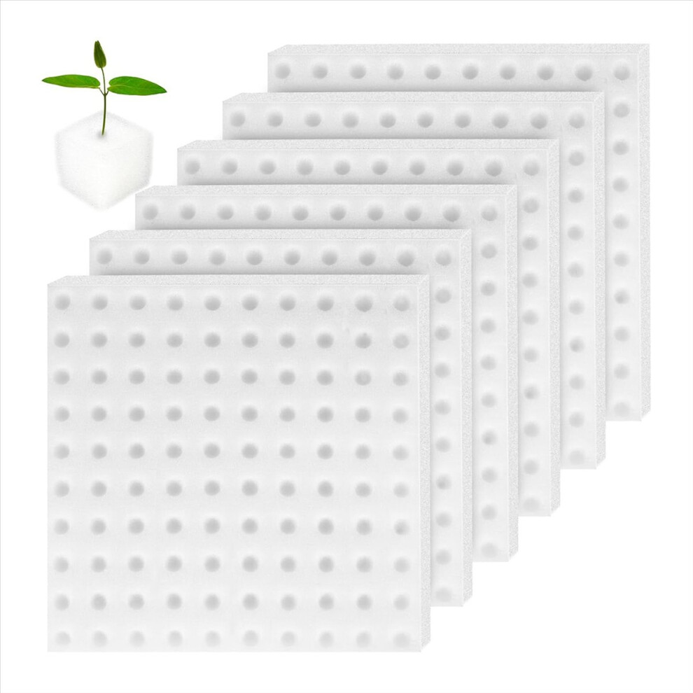 600 Pcs Sponge Squares for Hydroponics, Hydroponic Planting Tool - Gre-image-OPC-PMMZMQY-NEW