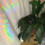Φορητό Στολίδι Αναμνηστικό Σκύλου Sun Catcher Rainbow Maker F 5