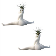 pezzi divertenti fioriere fantasma con bottino grande, regalo scherzoso, decorazione fioriera Air Fern