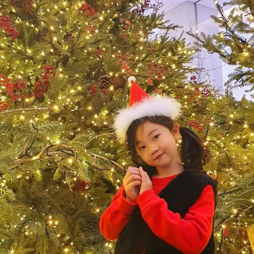 Chapeau De Noël Pour Chevaux - Bonnet De Noël Pour Cheval, Costumes