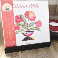 12 Zoll schwarzer Gummi-LP-Regalständer für Schallplatten