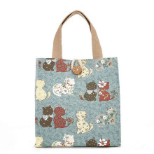 Lunchtasche aus Segeltuch, Lunchbox-Tasche