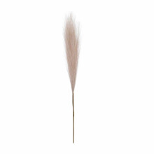 Reed Pampas Simulation Blume Hause Dekoration Hochzeit Gefälschte Blume