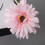 Sonnenblumen-Dekoration, Kunstblumen 4