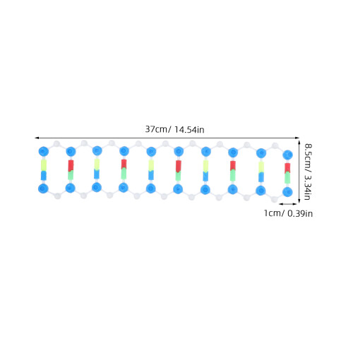 Juego De De ADN Para Aula De Ciencias, Doble 1