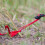 Rebar Stakes, Tent Stakes, Galvanized Heavy Duty Ground Stakes 4