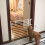 Pour Bébé Animaux Pour Portes Escaliers 7