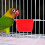 4 Pièces Suspendu Pour Poulailler Cage Perroquet 6