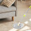 Replacement Rotating Mop Rod With Detachable Round Head And Handle 4