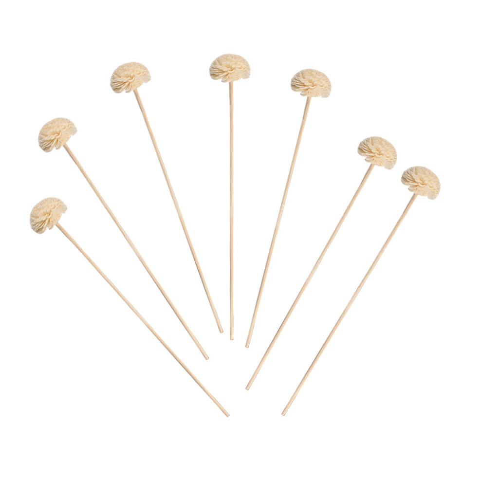 10 Pezzi Diffusore Oli