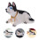 Decorazione Cane Che Scuote Testa Per Auto E (Husky) 11