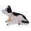 Decorazione Cane Che Scuote Testa Per Auto E (Husky) 10