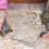 2 Per Rettili Palette Lettiera Animali 9