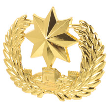 De Crachá Metal Para Chapéu, Roupas, , Decoração, Diy