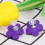 3Stk Farbige Polymer Clay Ohrstecker Silber Accessoire 11