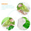 One Set Baby Sleep Blanket Newborn Cabbage Design 11