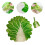 One Set Baby Sleep Blanket Newborn Cabbage Design 6