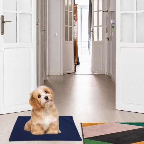 Housse Pour Chauffant Pour Petit 2