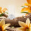 Bee Water Feeder Distributore 100Ml Per Tarantole Manti E 7