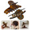 2 Pezzi Clip Per In Celluloide A Ganascia 4