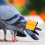 2St Professionele Pigeon Fluitjes Draagbaar Trainingsaccessoire ABS 11